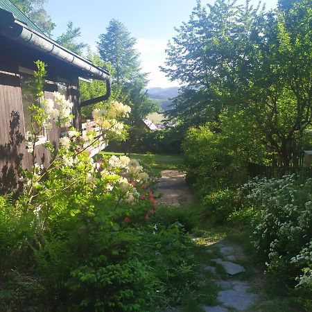 Chata Na Poskle U Lesa S Vyhledem Hutisko エクステリア 写真