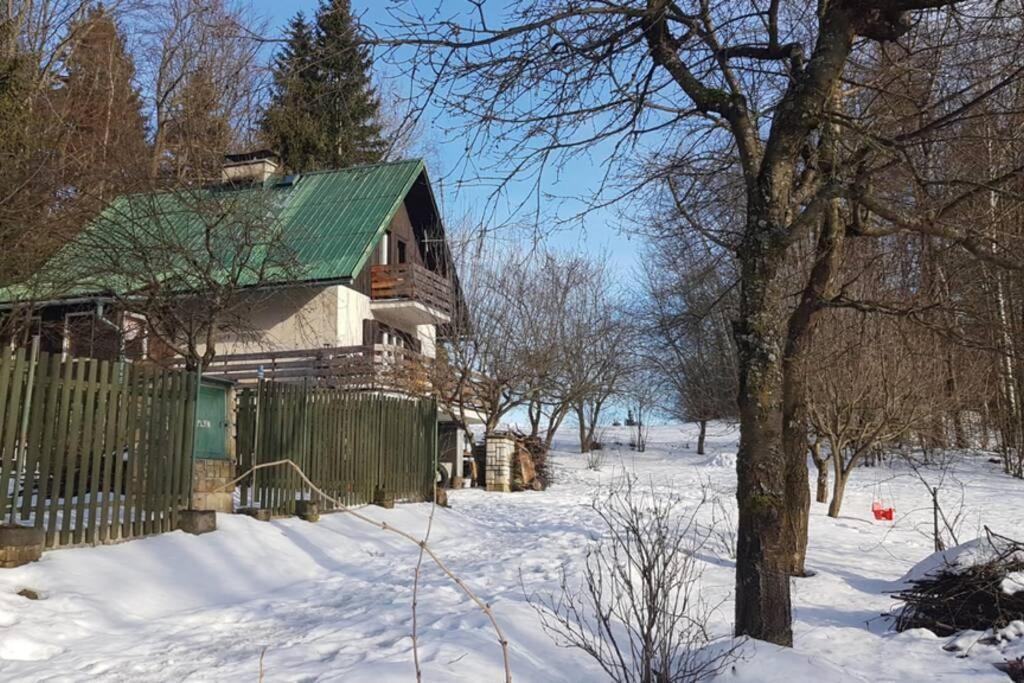 Chata Na Poskle U Lesa S Vyhledem Hutisko エクステリア 写真