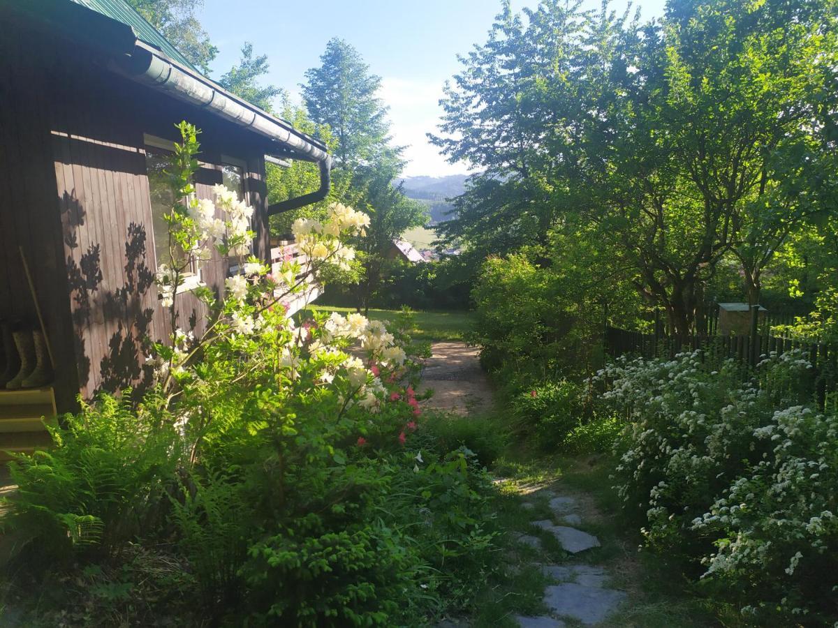 Chata Na Poskle U Lesa S Vyhledem Hutisko エクステリア 写真
