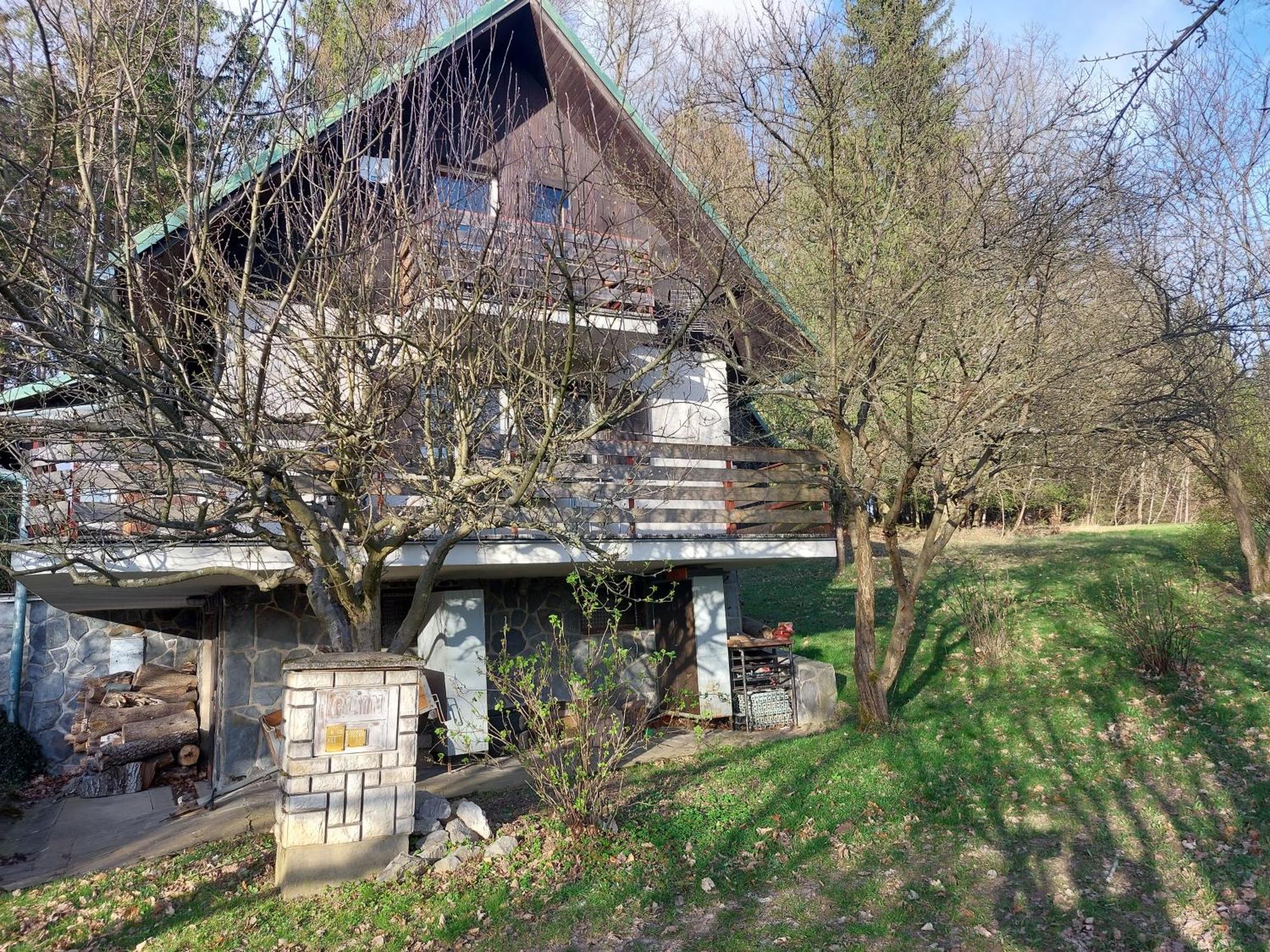 Chata Na Poskle U Lesa S Vyhledem Hutisko エクステリア 写真